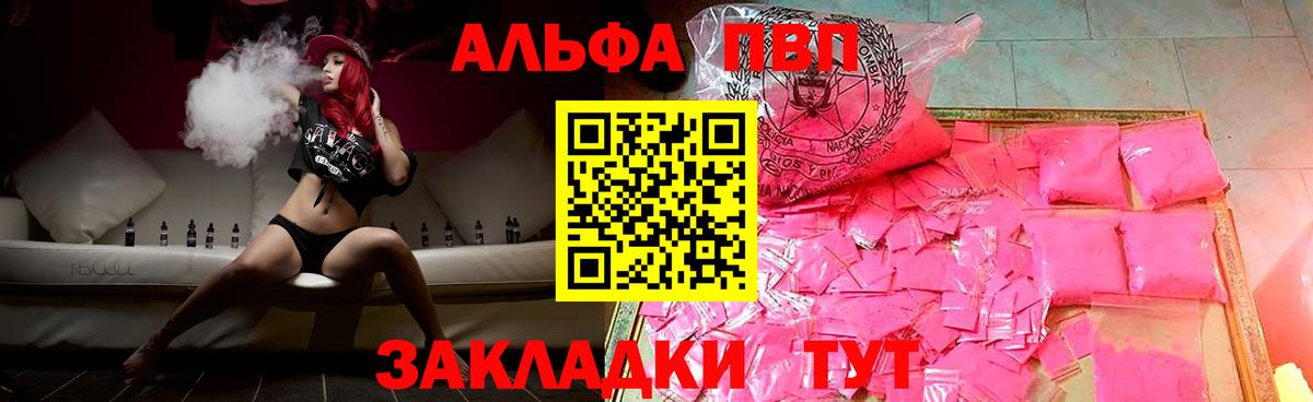 A PVP СК КРИС Гудермес