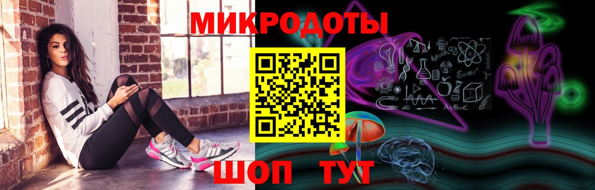 Псилоцибиновые грибы Cubensis Гудермес